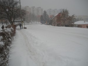 téi időjárás 008