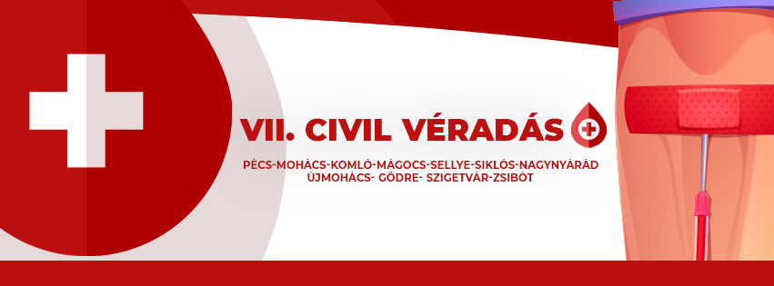 vii.civil_veradas_2022