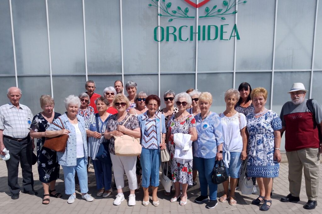 orchidea