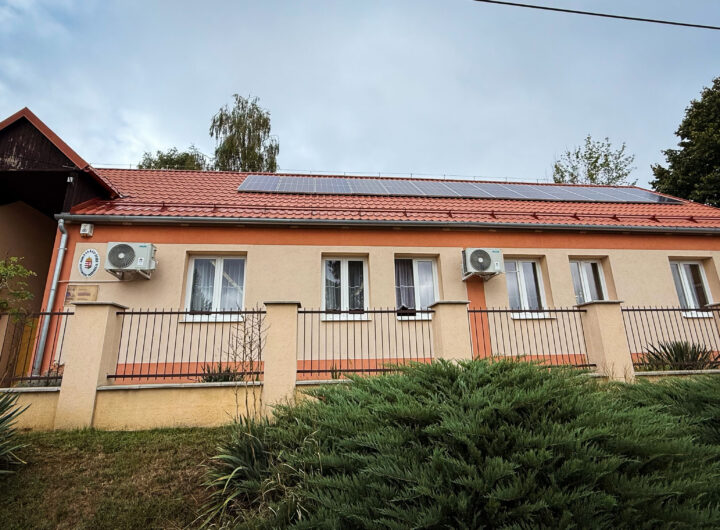 gesztenyés