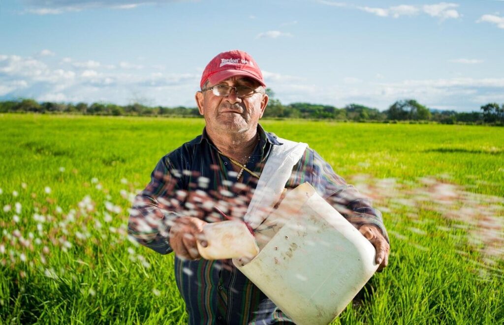 https-_tanfolyamguru.hu_ - 2025 december - Cikk4