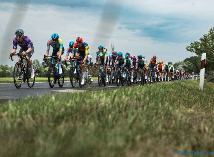 picture-545-1747329284