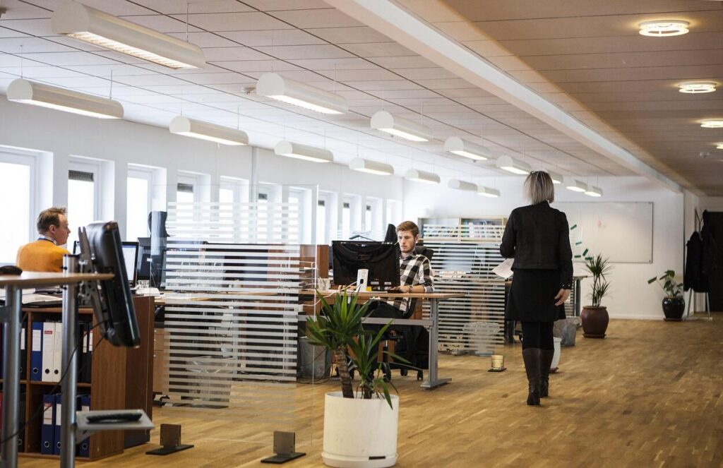 szekhelyszolgaltatas.eu - 2026 február - LinkMarketing - 4