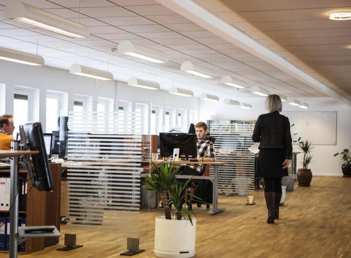 szekhelyszolgaltatas.eu - 2026 február - LinkMarketing - 4