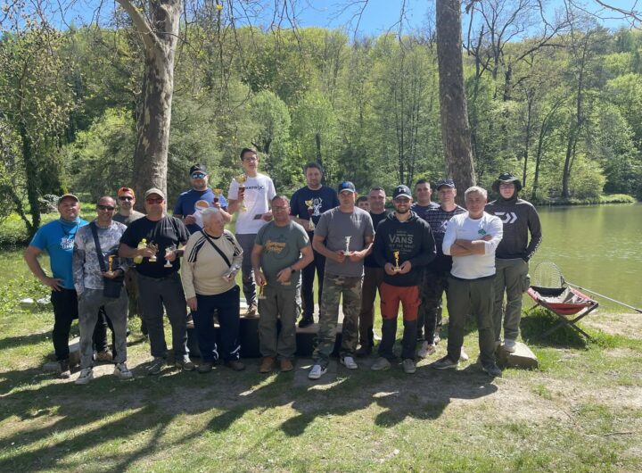 8d908b47-494d-4ba8-96cd-5ae04e2d9e07